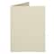 JAM Paper 4.62" x 6.25" Ivory Panel Blank Foldover Cards